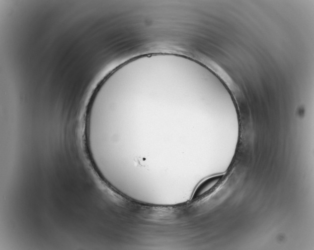 X0000103271144200809191736