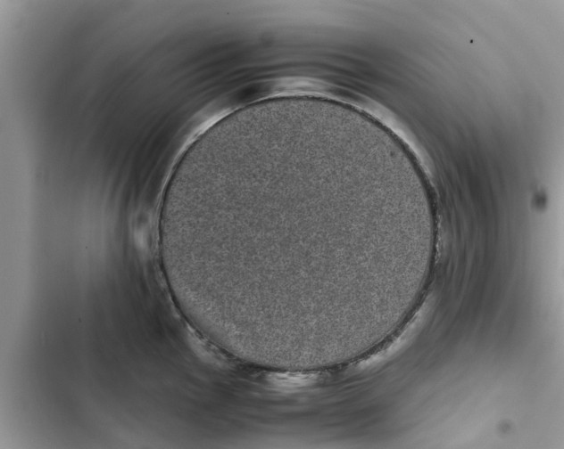 X0000103271145200809191736