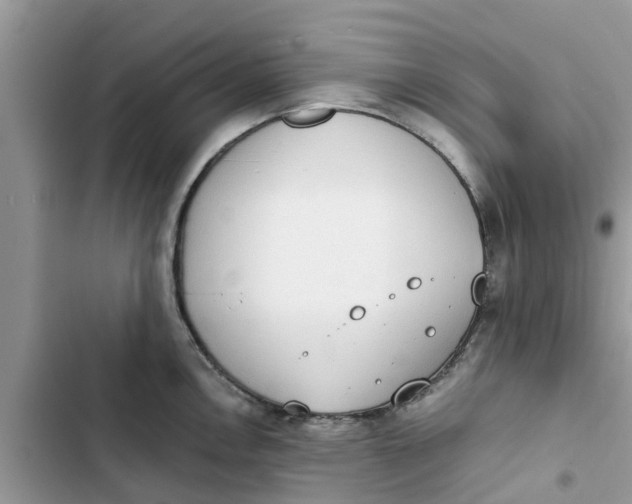 X0000103271146200809191736