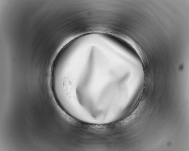 X0000103271147200809191736