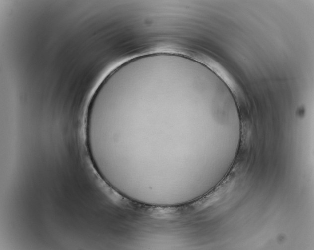 X0000103271148200809191736