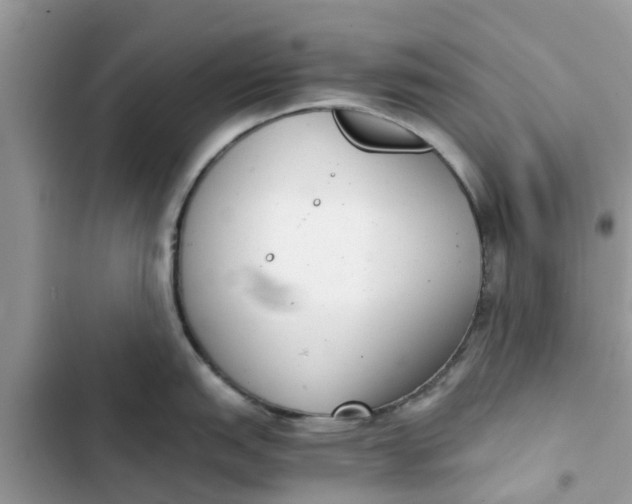 X0000103271151200809191736