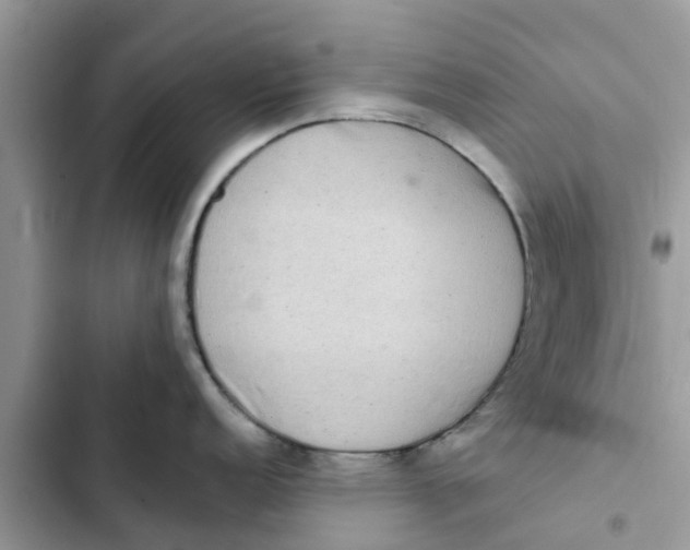 X0000103271152200809191736