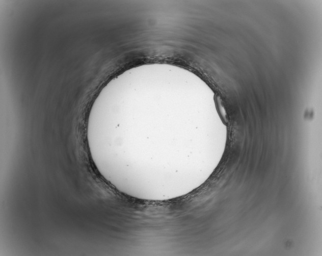 X0000103271153200809191735
