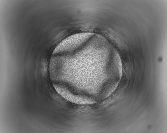 X0000103271154200809191735