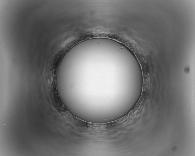 X0000103271157200809191735