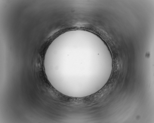 X0000103271158200809191735