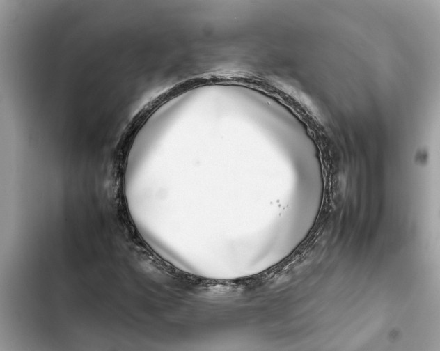 X0000103271160200809191735