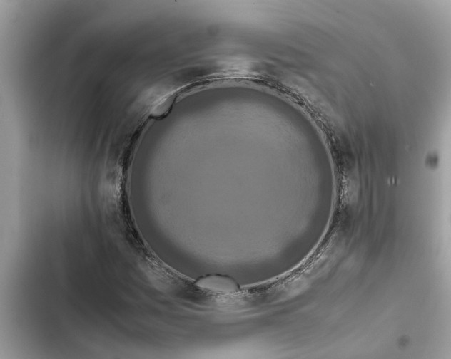X0000103271161200809191735