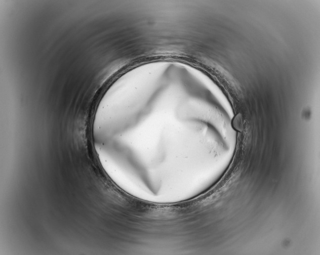 X0000103271162200809191735