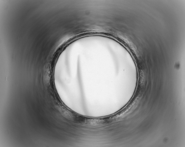 X0000103271163200809191735