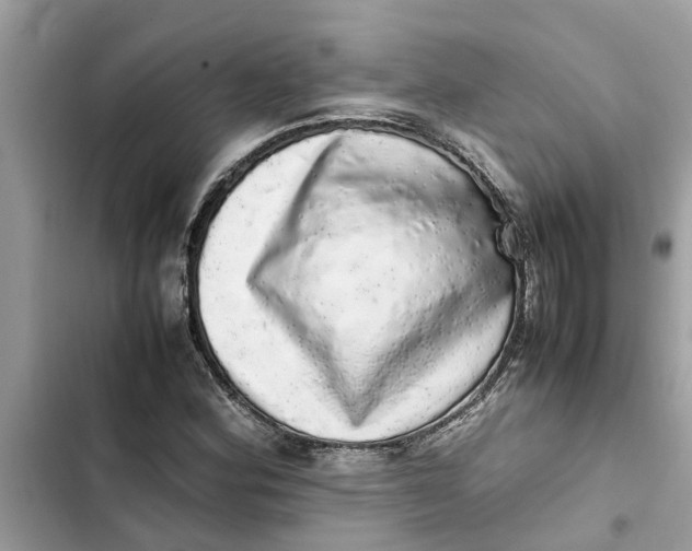 X0000103271164200809191735