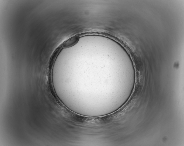 X0000103271165200809191735