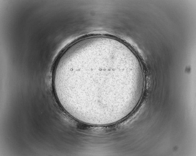 X0000103271167200809191735