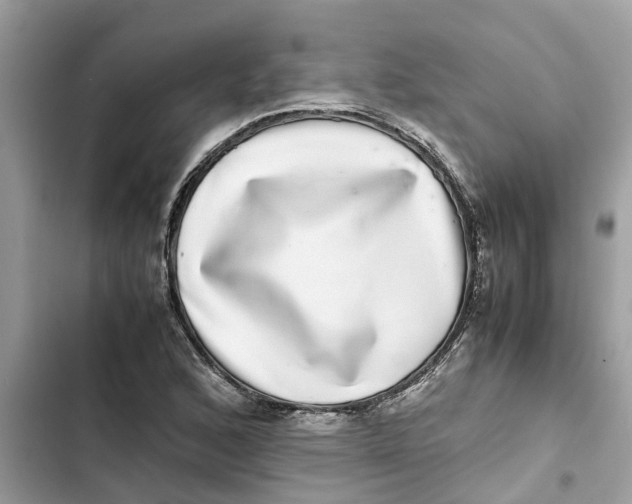 X0000103271168200809191735