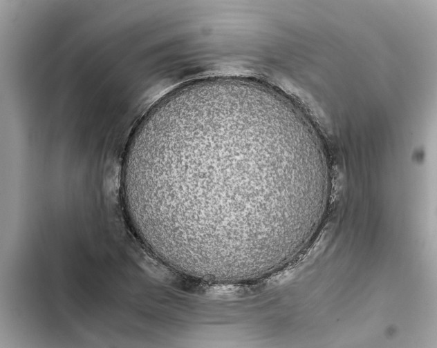 X0000103271169200809191735