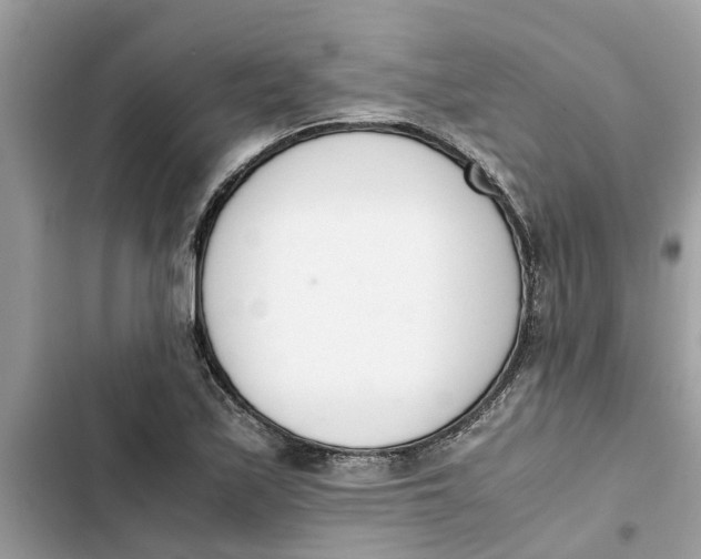 X0000103271171200809191735