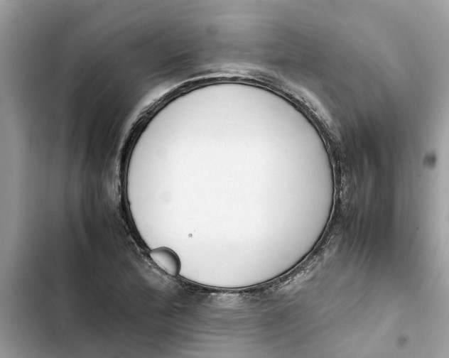 X0000103271172200809191735