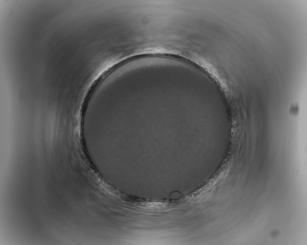 X0000103271173200809191735