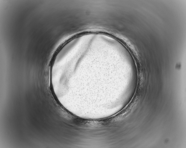 X0000103271175200809191735