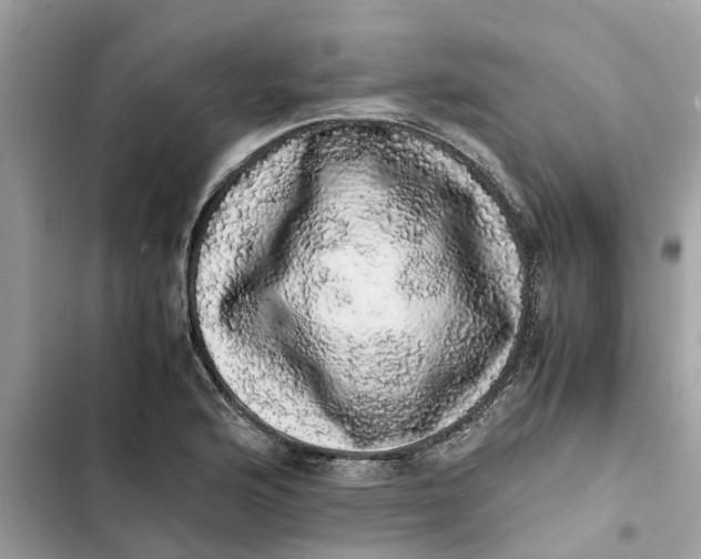 X0000103271176200809191735
