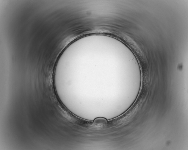 X0000103271177200809191735