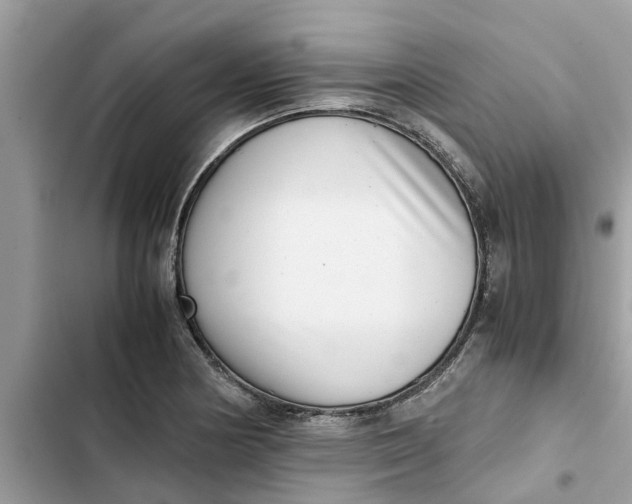 X0000103271178200809191735
