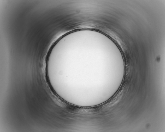 X0000103271179200809191735