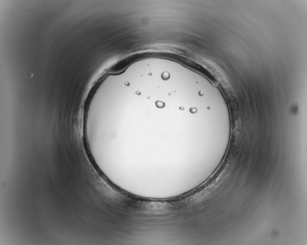 X0000103271180200809191735