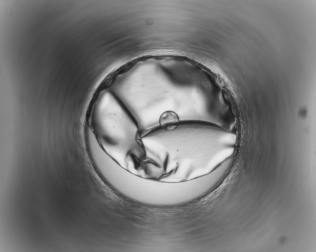 X0000103271181200809191735