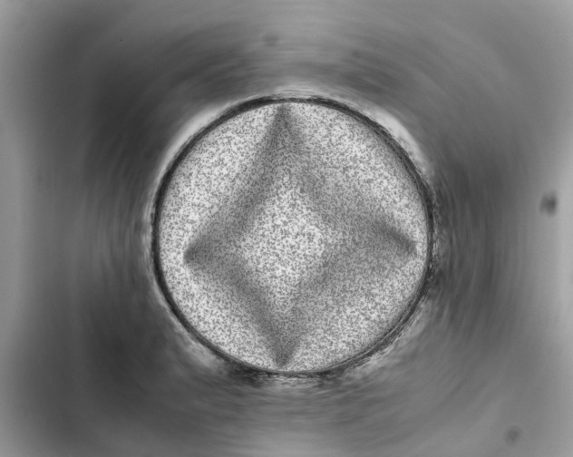 X0000103271183200809191735