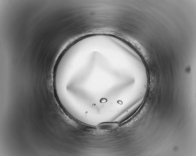 X0000103271184200809191735