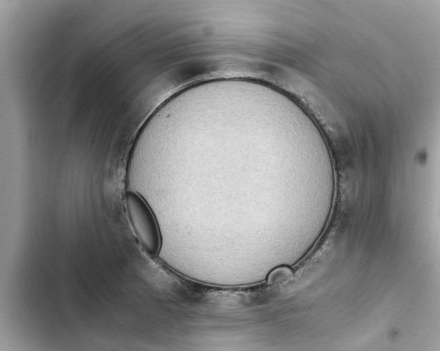 X0000103271185200809191735