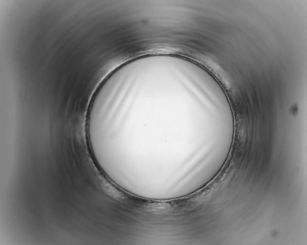 X0000103271186200809191735