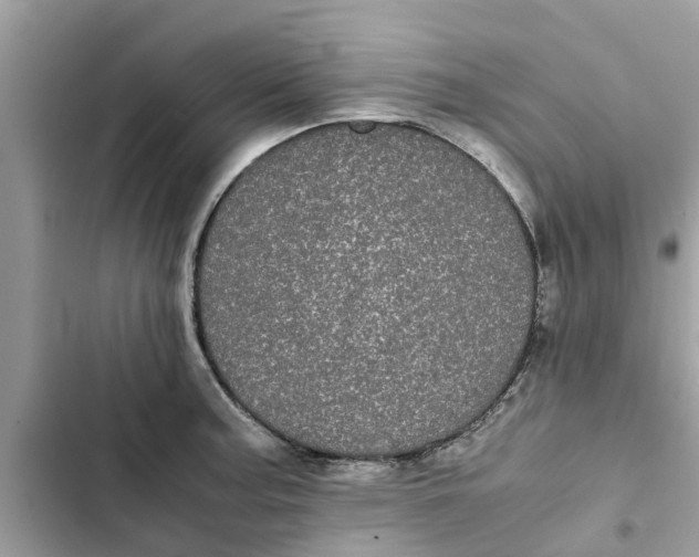 X0000103271187200809191735
