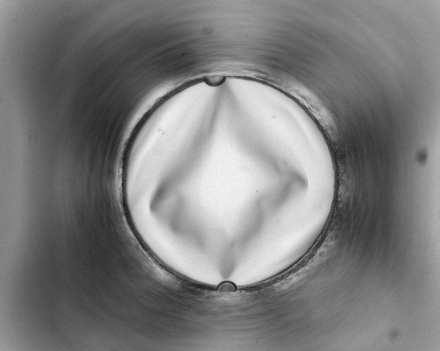X0000103271188200809191735