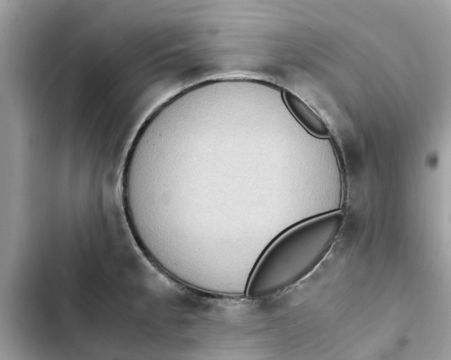 X0000103271189200809191735