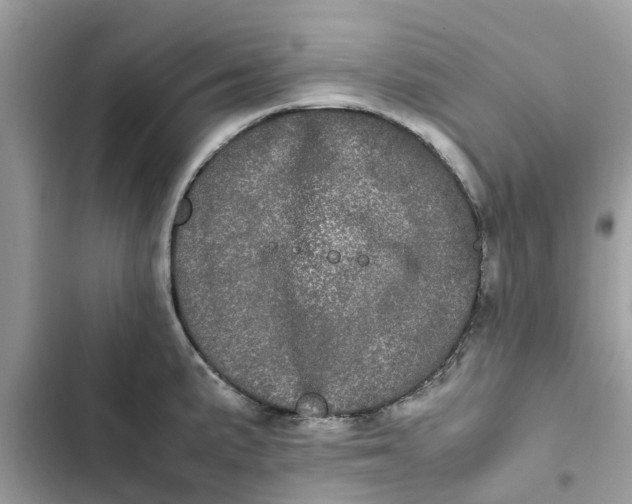 X0000103271191200809191735
