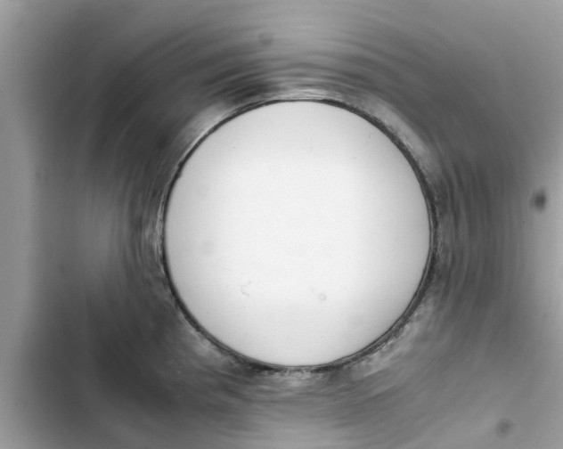 X0000103271193200809191735