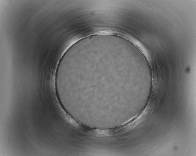 X0000103271194200809191735