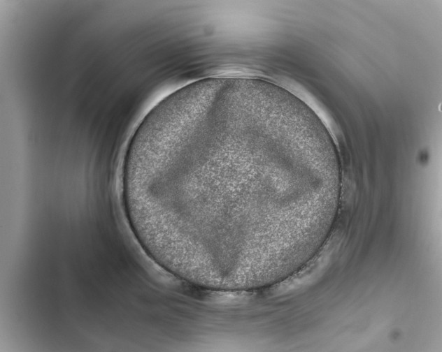 X0000103271195200809191735