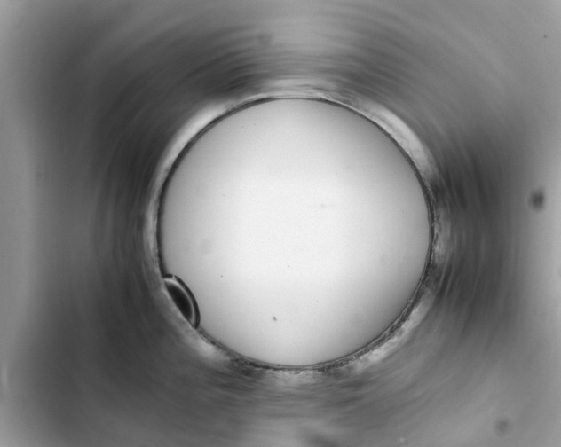 X0000103271196200809191735