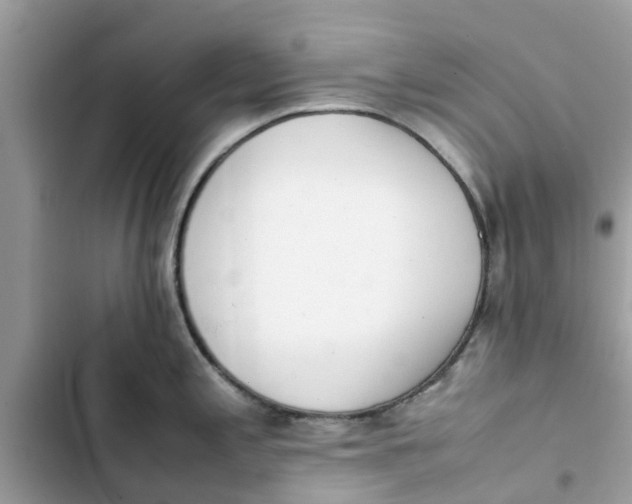 X0000103271197200809191735