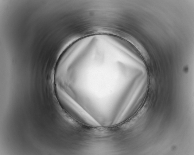 X0000103271198200809191735