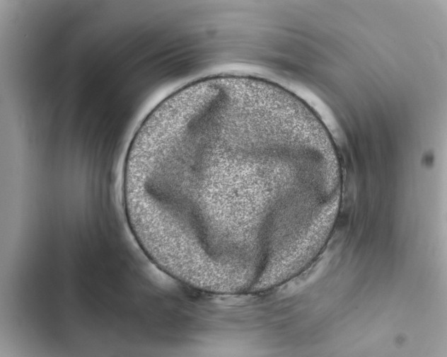 X0000103271199200809191735
