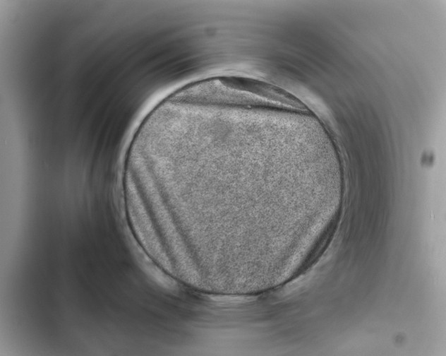 X0000103271200200809191735
