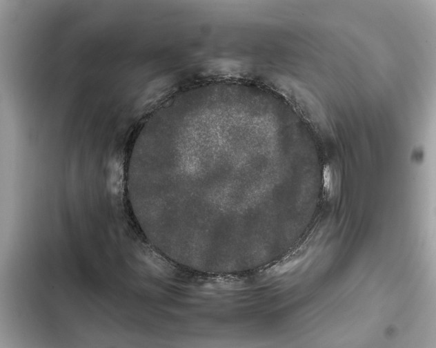 X0000103271203200809191734