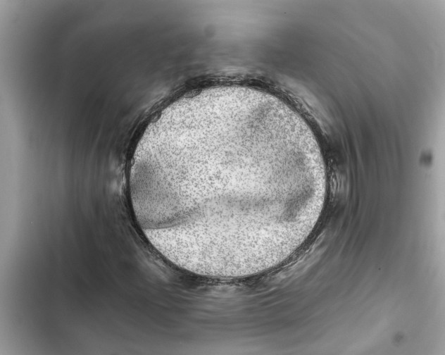 X0000103271204200809191734