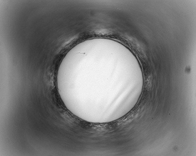 X0000103271205200809191734