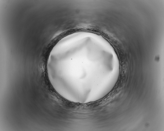 X0000103271206200809191734